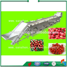 China Litchi Mango Fruit Classifier Grading Machine